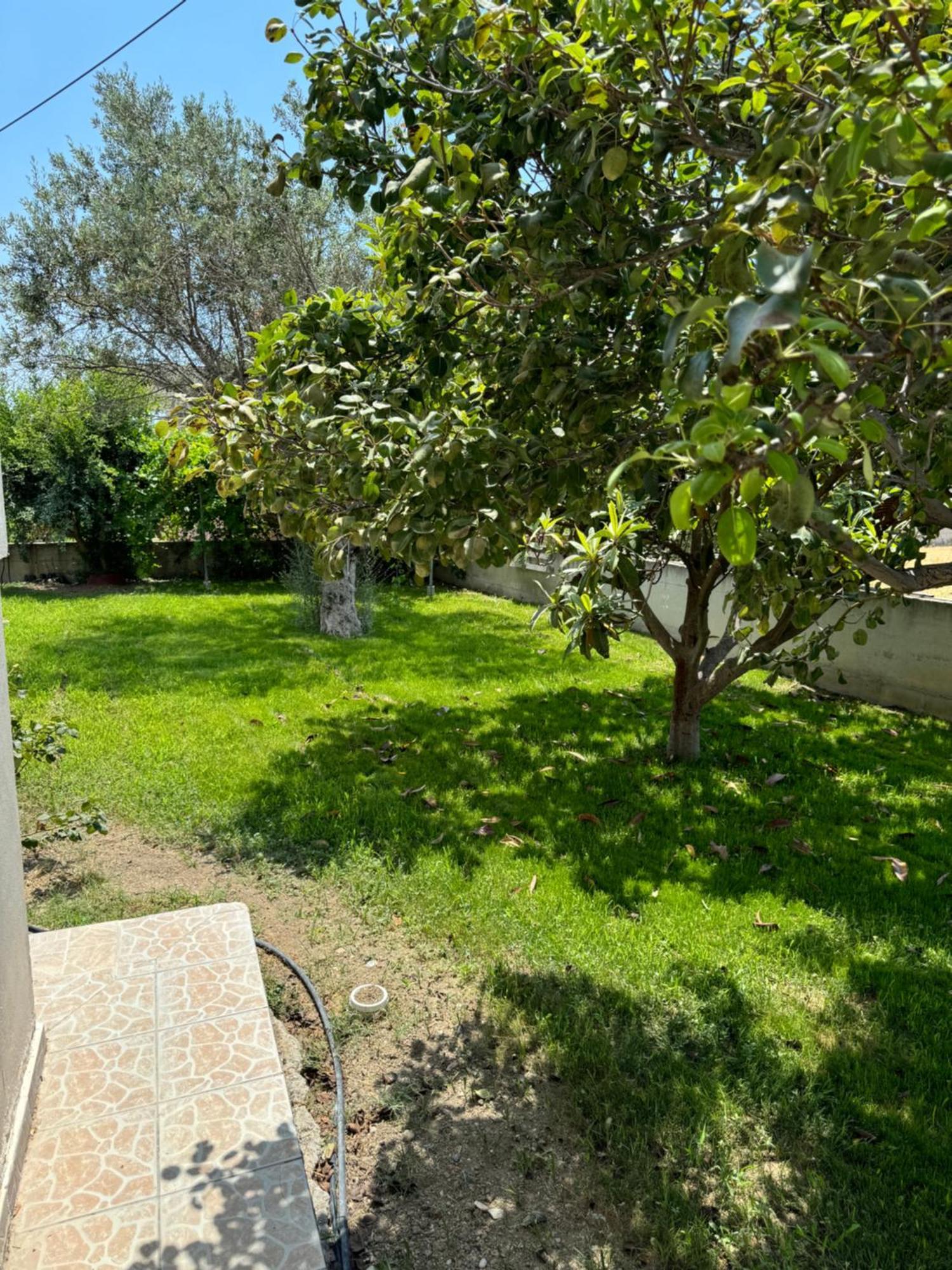 Fotis House Apartment Afantou Bagian luar foto
