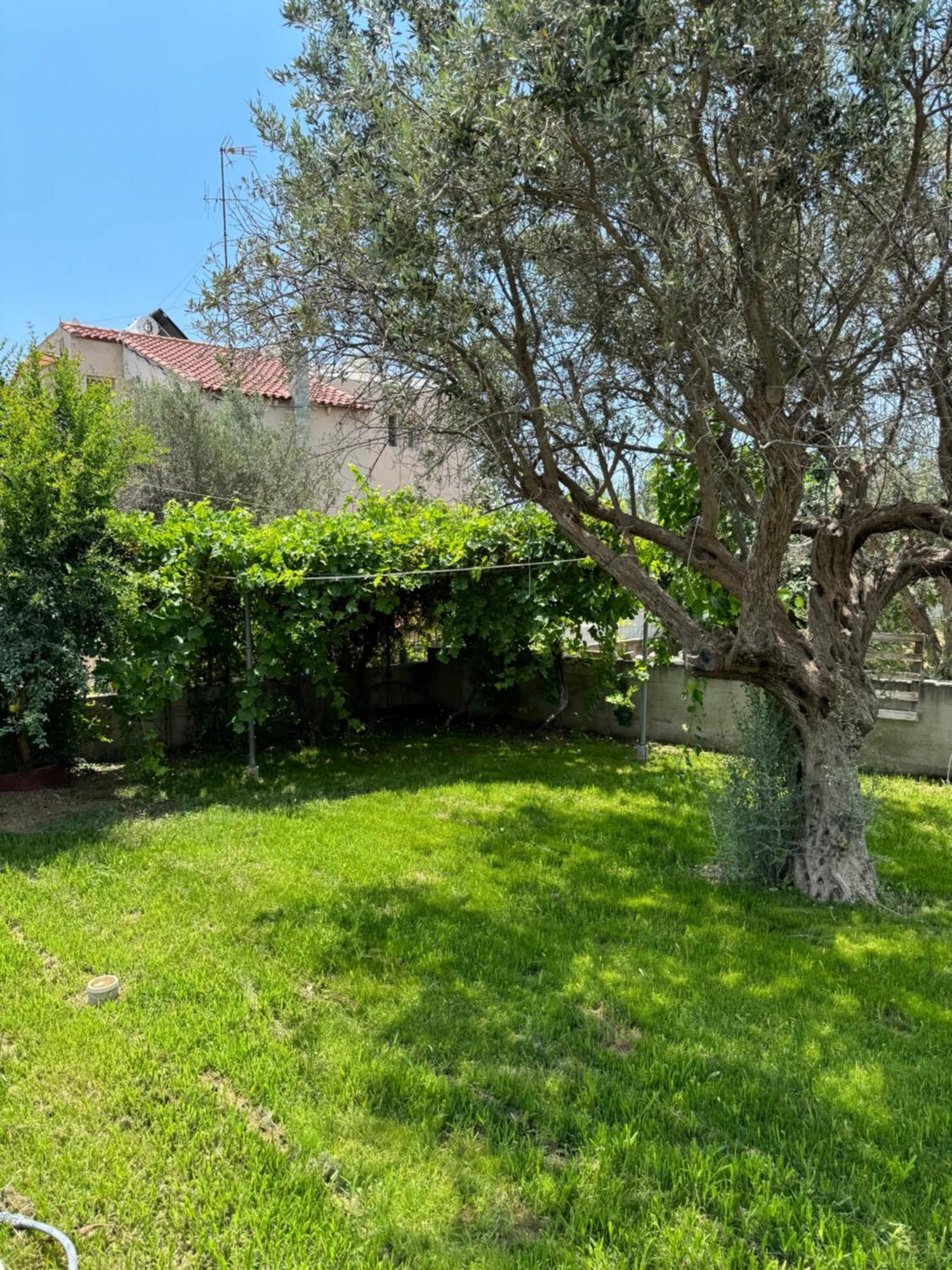 Fotis House Apartment Afantou Bagian luar foto